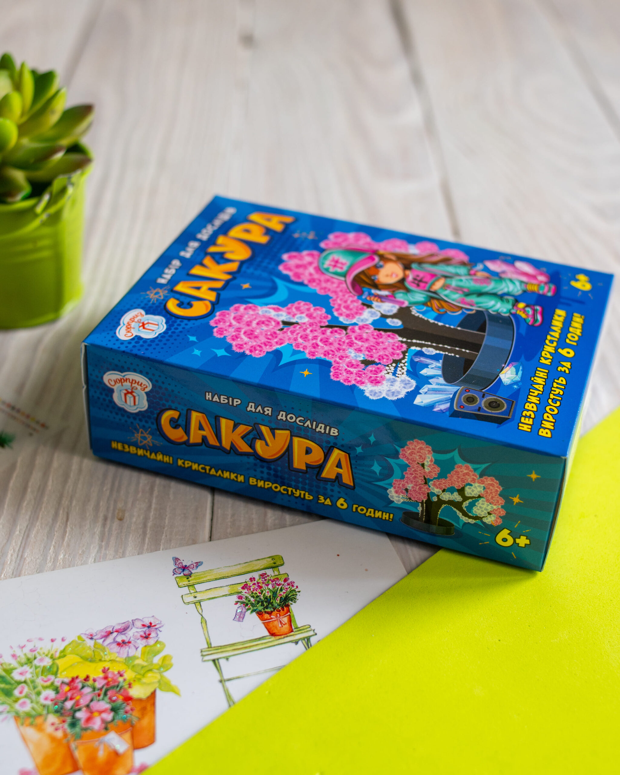 Сакура - Зображення 2