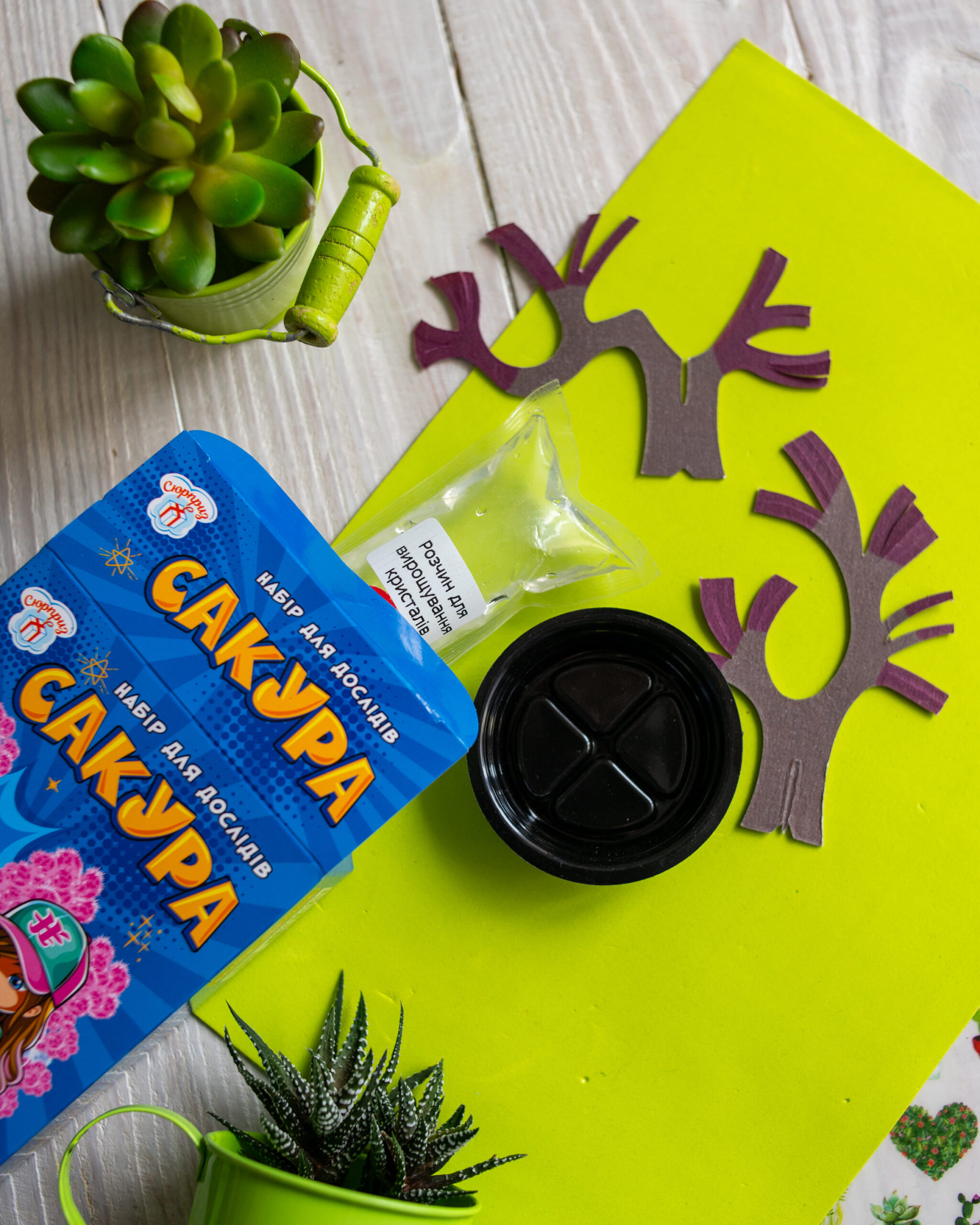 Сакура - Зображення 4