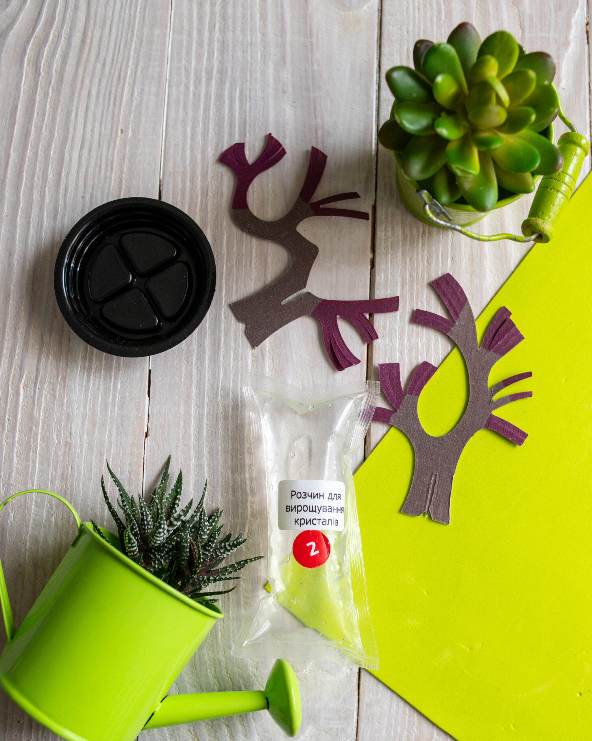 Сакура - Зображення 5