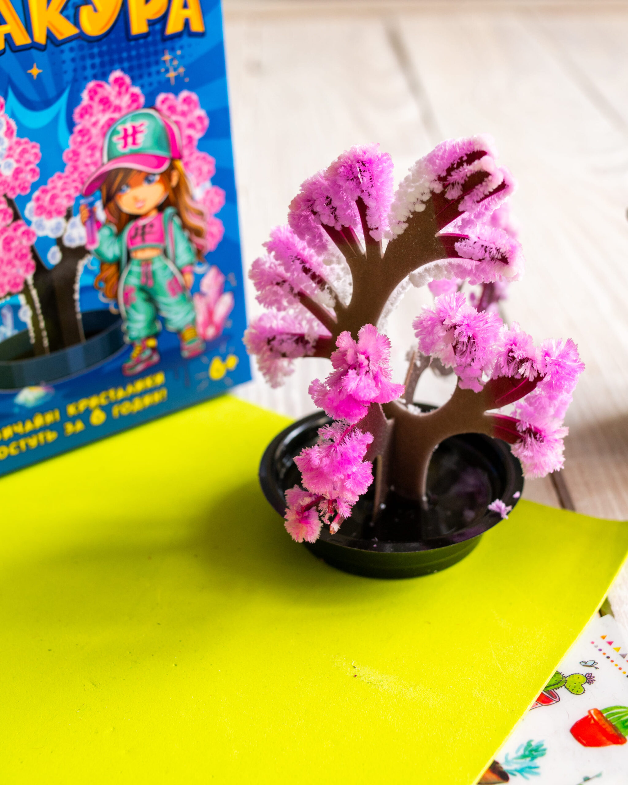 Сакура - Зображення 7