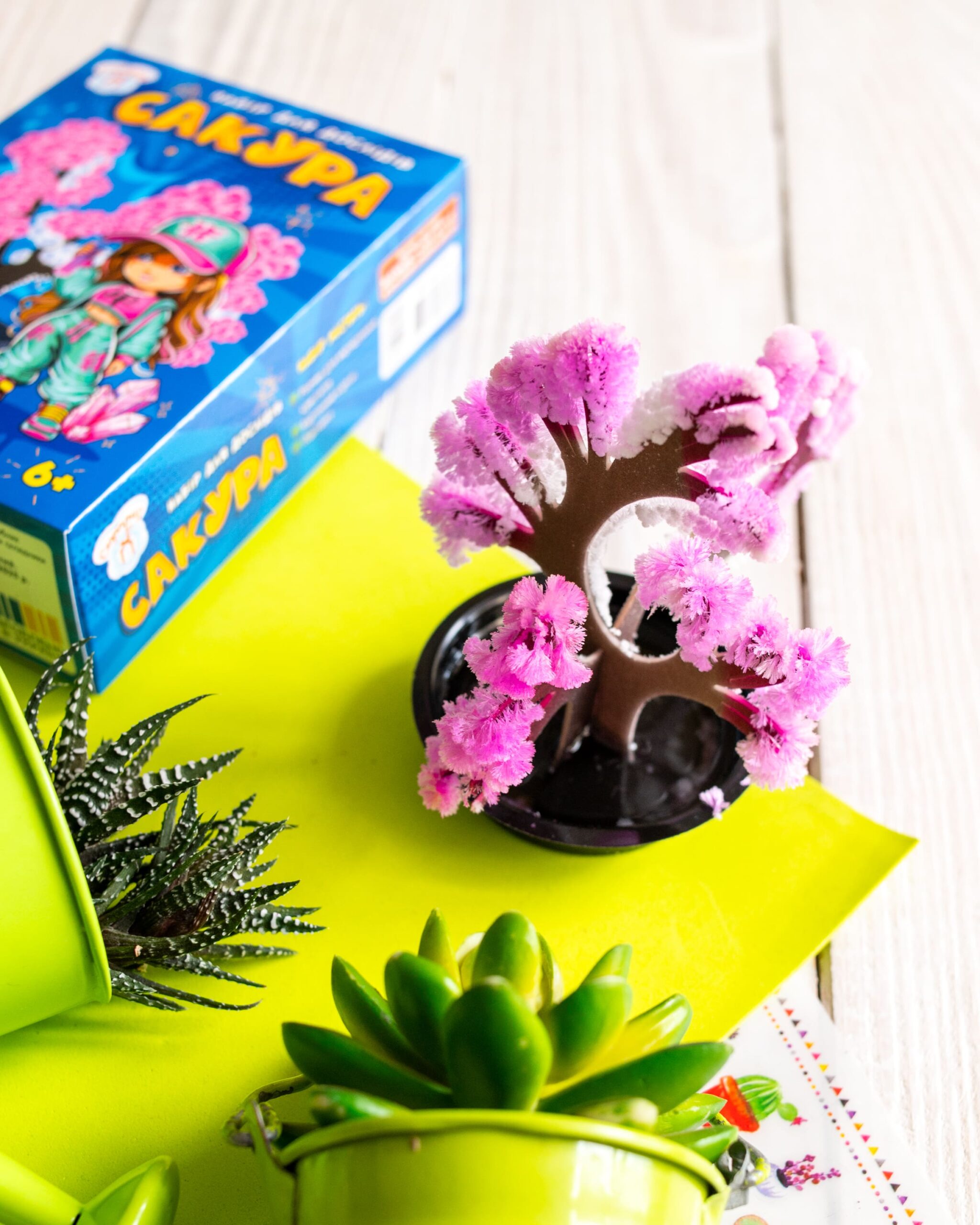 Сакура - Зображення 8