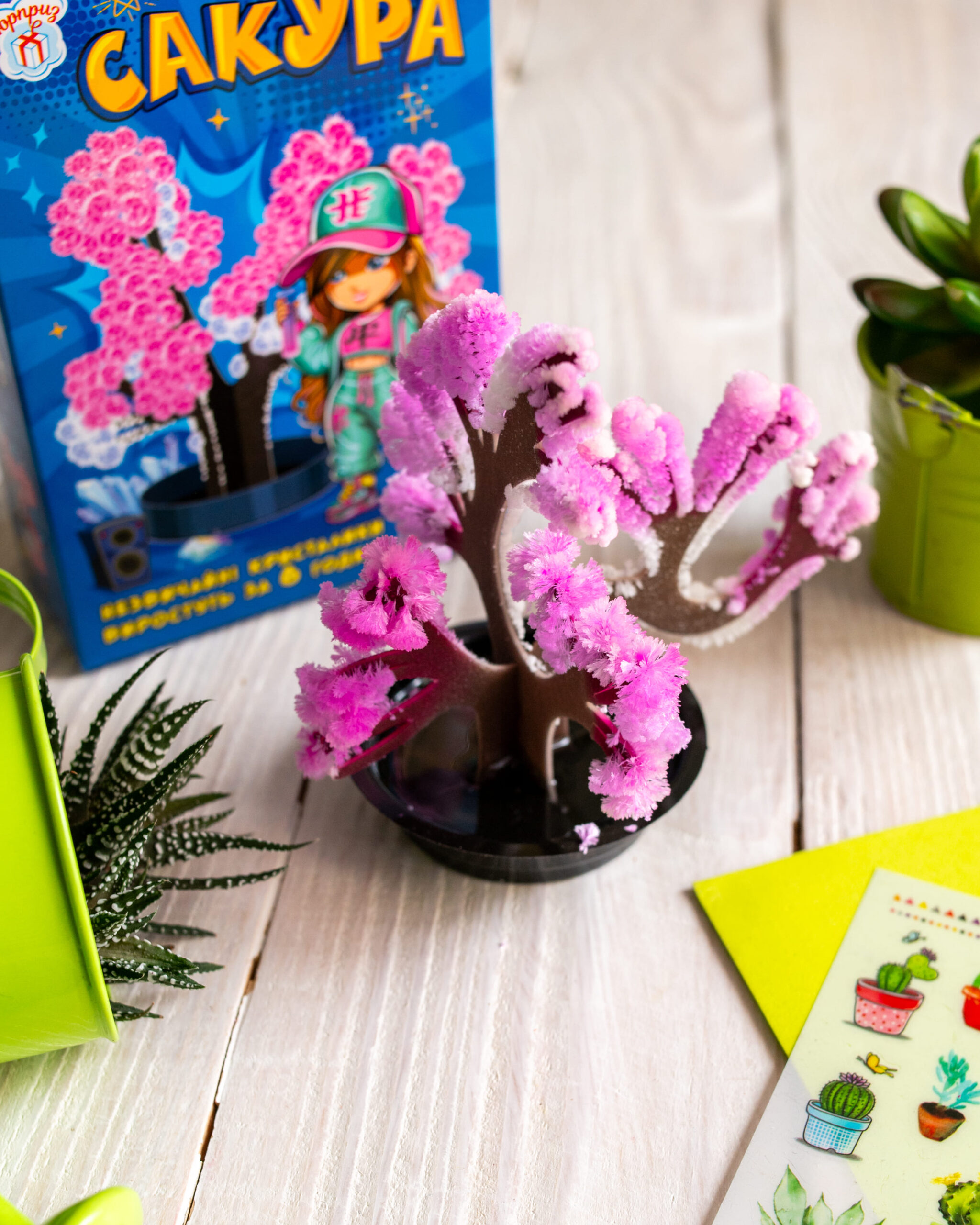 Сакура - Зображення 9