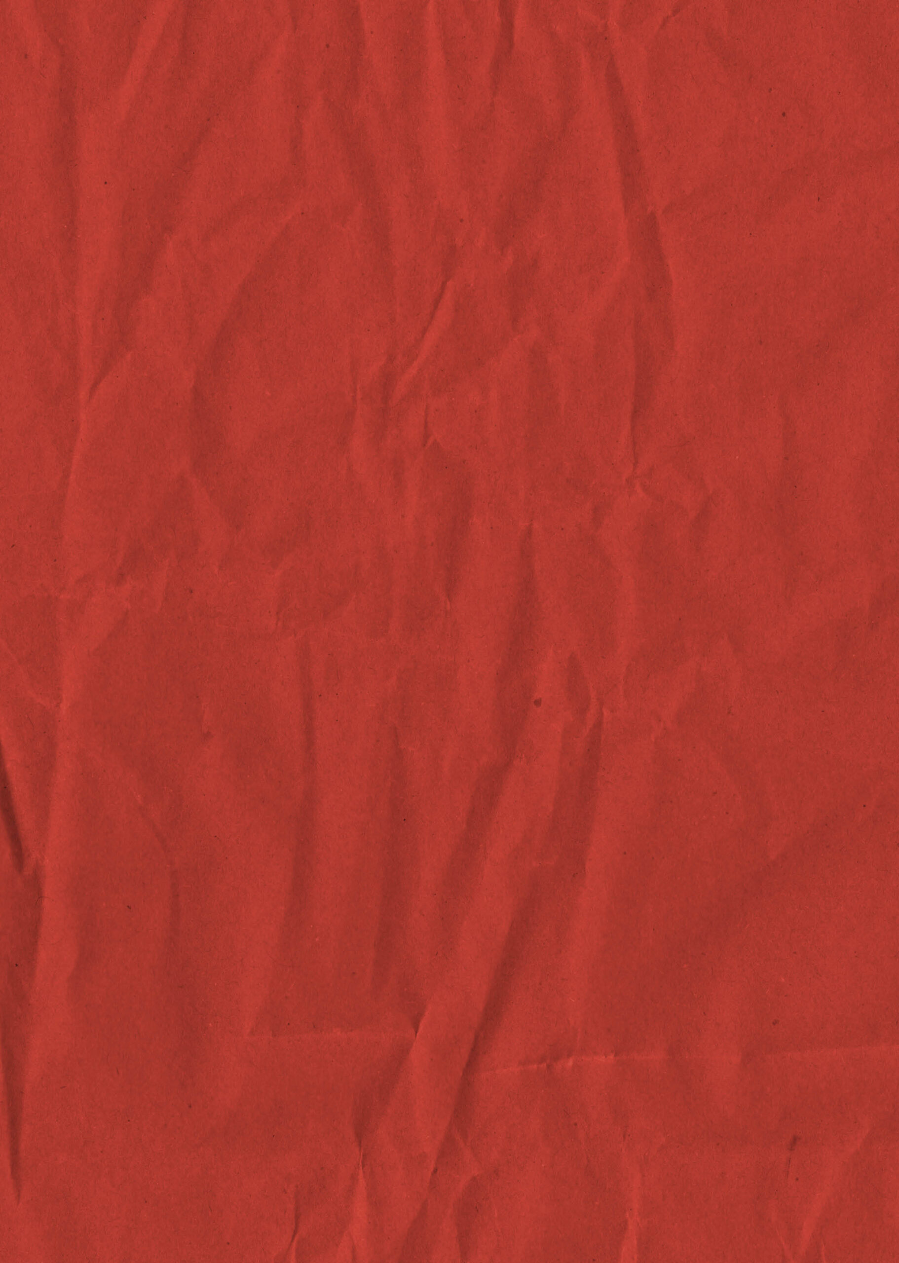 Заєць Гібіскус і викрадення моркви - Зображення 2