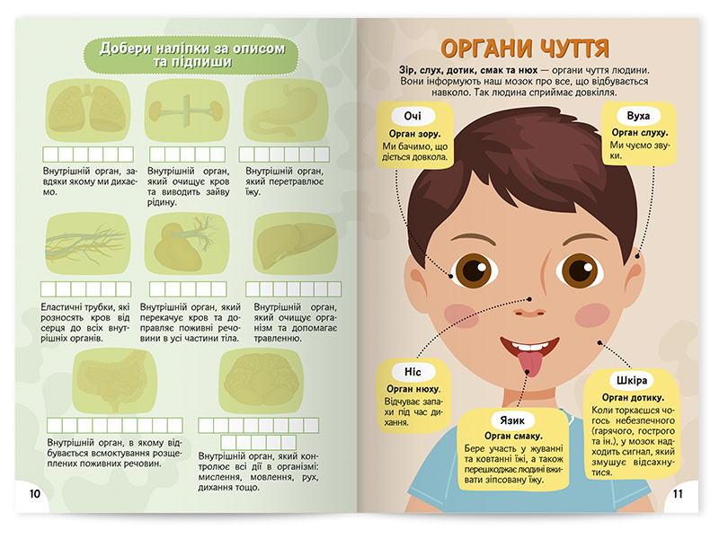 Вивчаємо будову тіла 6+ - Зображення 2