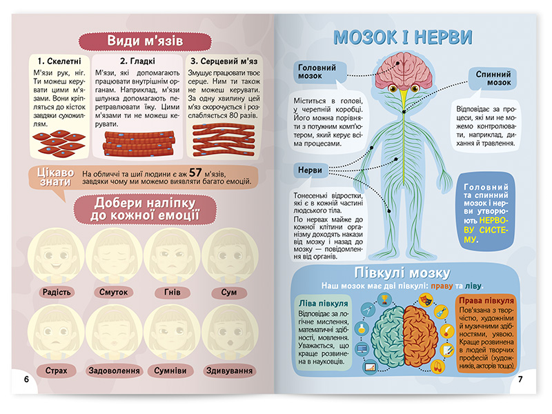 Вивчаємо будову тіла 6+ - Зображення 3