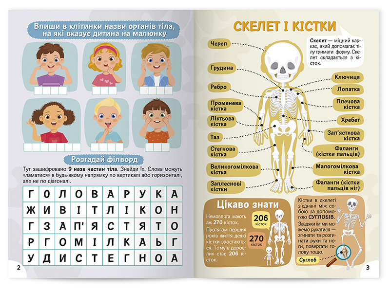 Вивчаємо будову тіла 6+ - Зображення 4