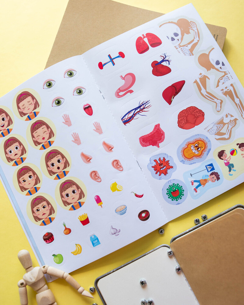 Вивчаємо будову тіла 6+ - Зображення 11