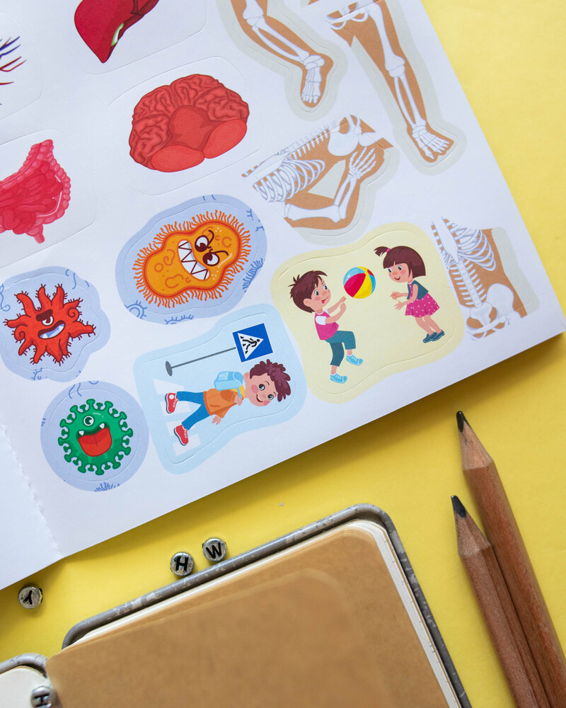 Вивчаємо будову тіла 6+ - Зображення 13