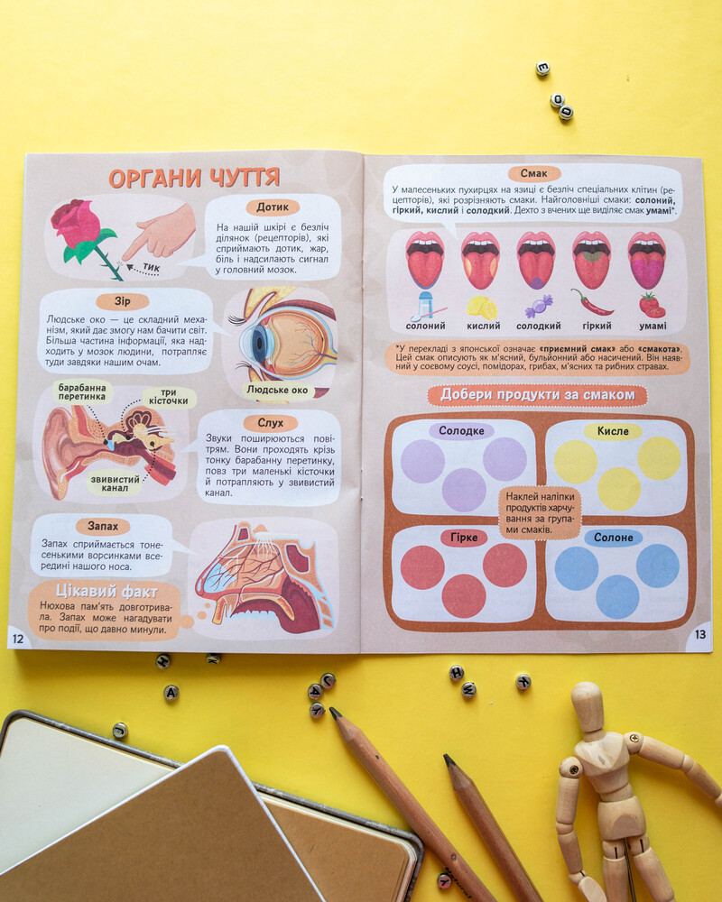 Вивчаємо будову тіла 6+ - Зображення 15