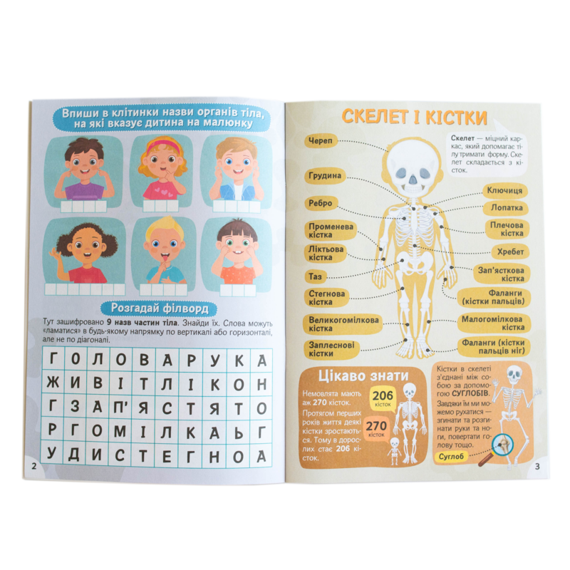 Вивчаємо будову тіла 6+ - Зображення 21
