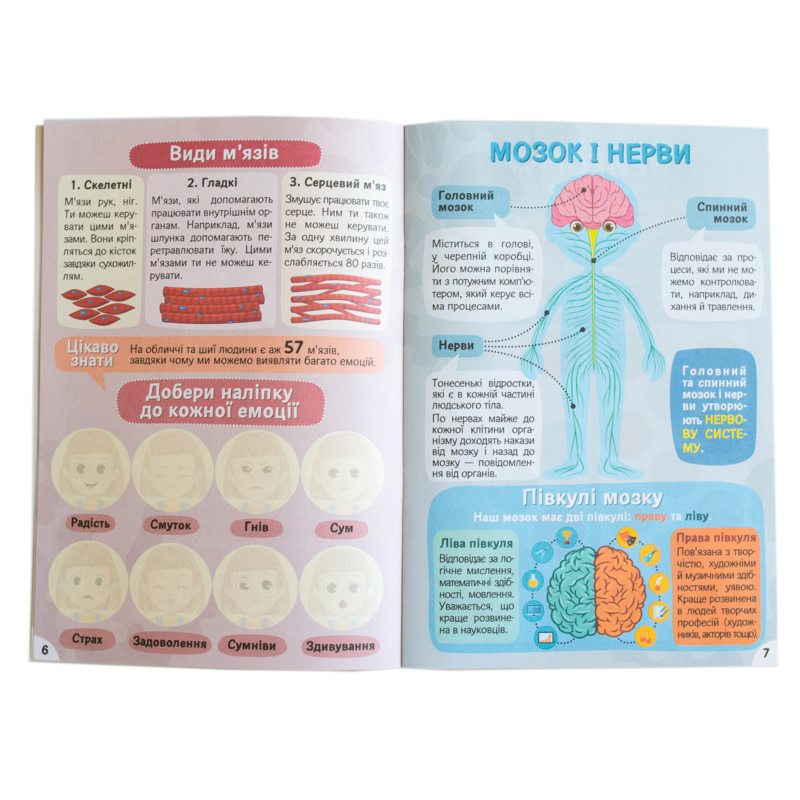 Вивчаємо будову тіла 6+ - Зображення 22