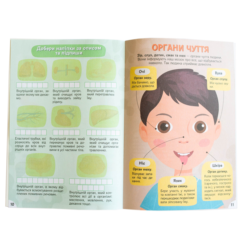 Вивчаємо будову тіла 6+ - Зображення 24
