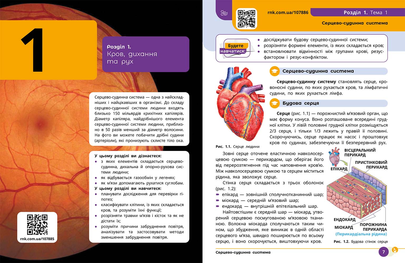 ІК Підручник Природничі науки 8 клас _ КОМ - Зображення 6
