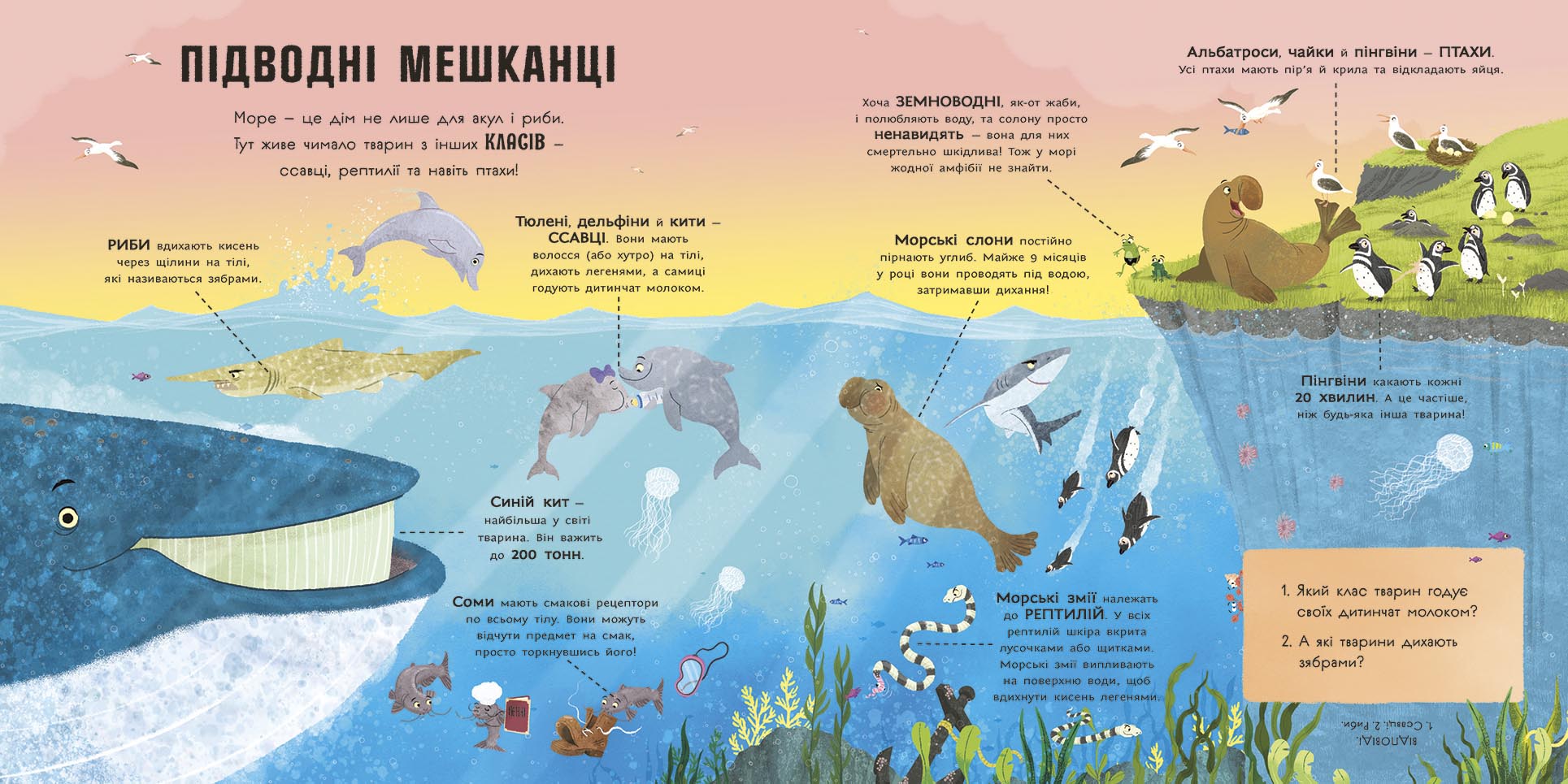 Акули люблять науку - Зображення 3