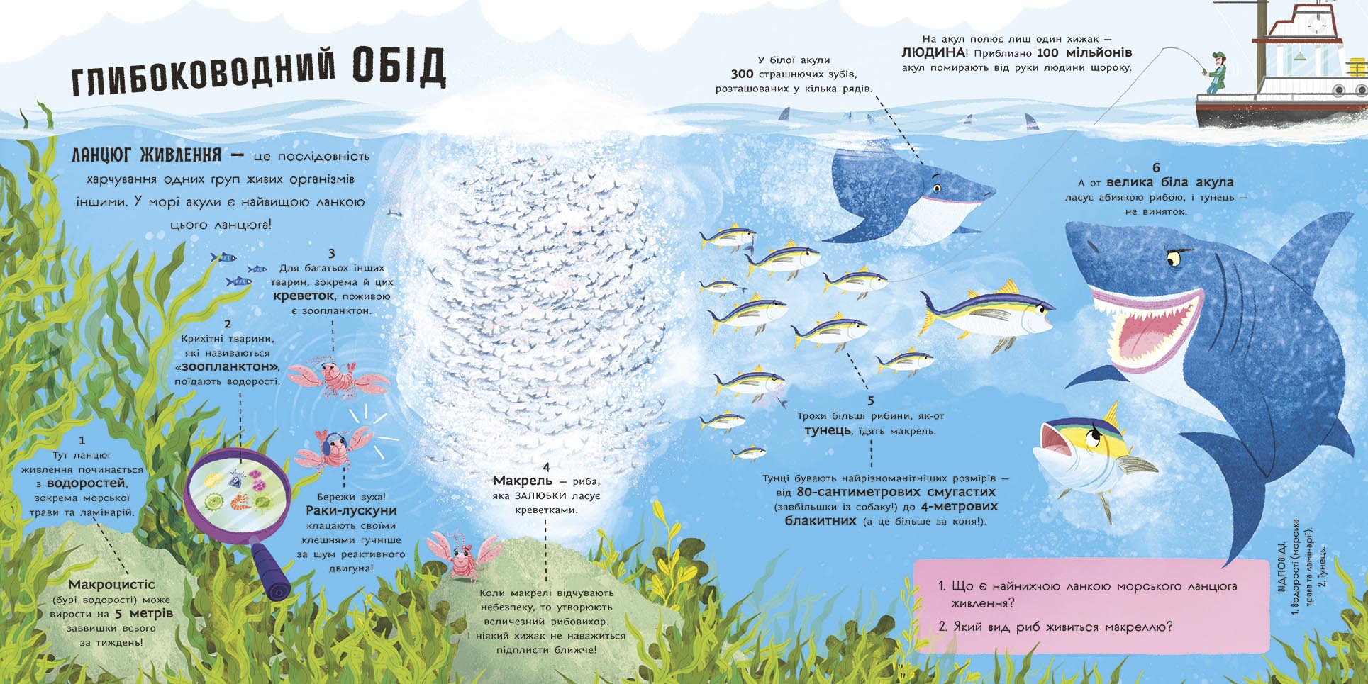 Акули люблять науку - Зображення 4