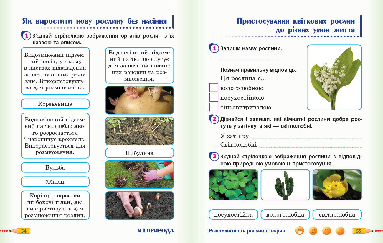 НУШ 3 кл. Я досл. світ. Роб.зошит Ч.1 (у 2-х ч.) (Укр) до підр. Гільберг Т.В. та ін 2025 ДИДАКТА - Зображення 4