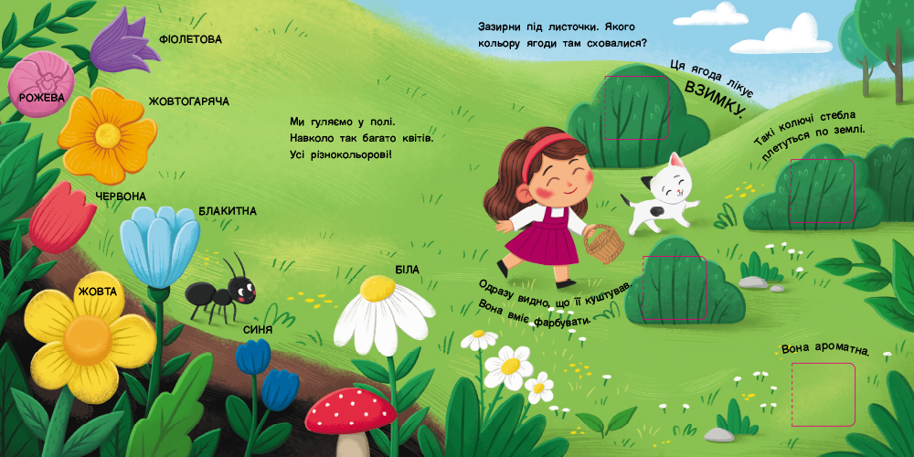 Якого кольору? - Зображення 3