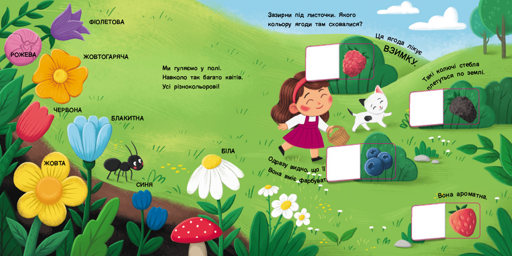 Якого кольору? - Зображення 4