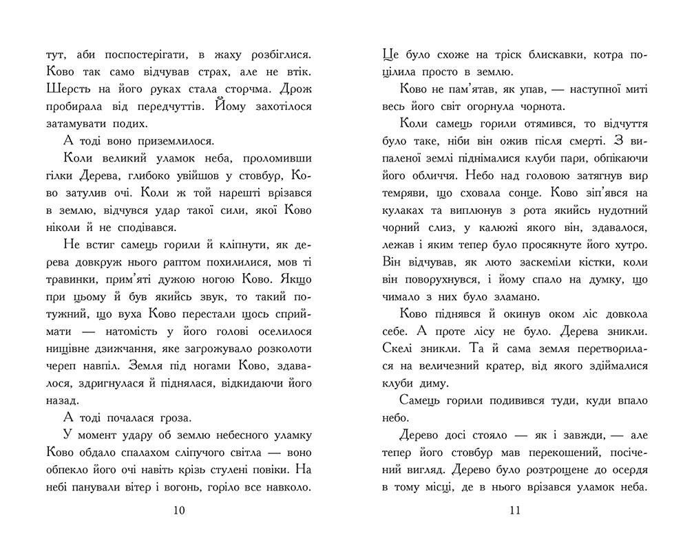 Звіродухи. Падіння звірів. Полум’яний приплив. Книга 4 - Зображення 5