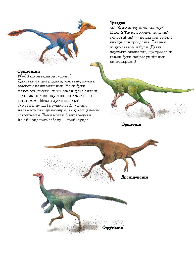 Перегони в Болотяному лісі - Зображення 6