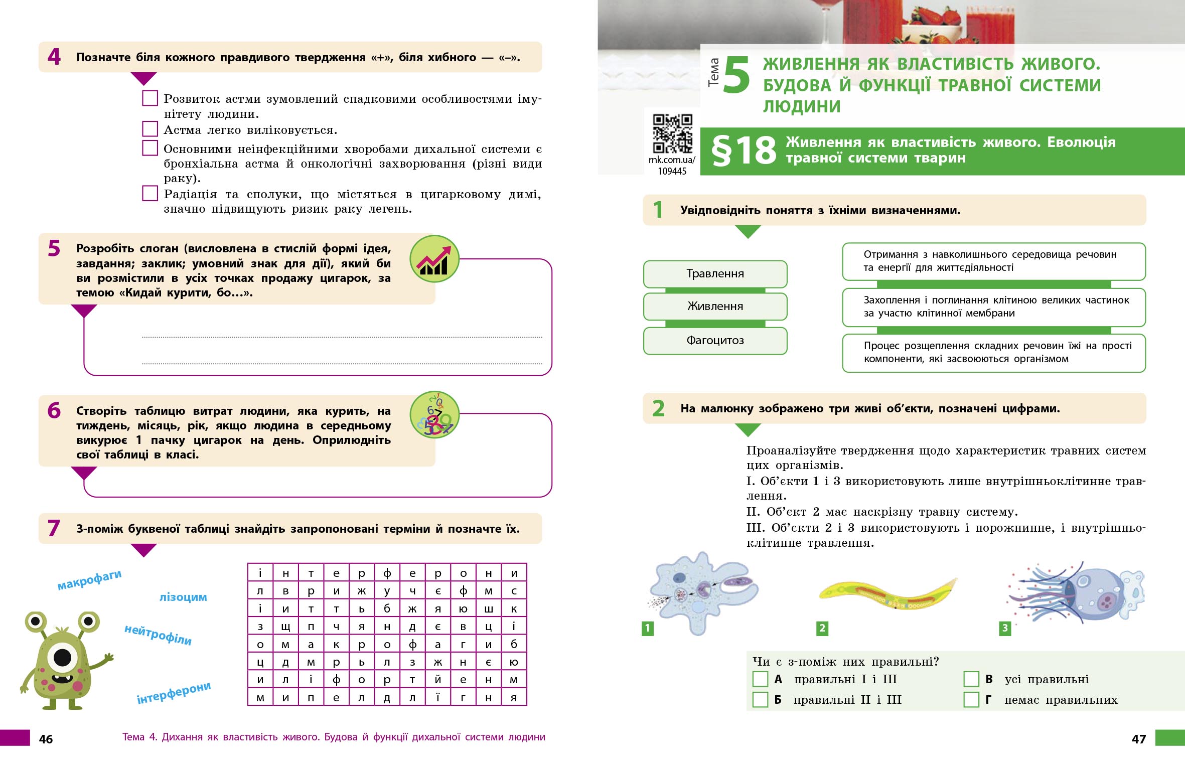 Біологія робочий зошит для 8 класу ЗЗСО - Зображення 8