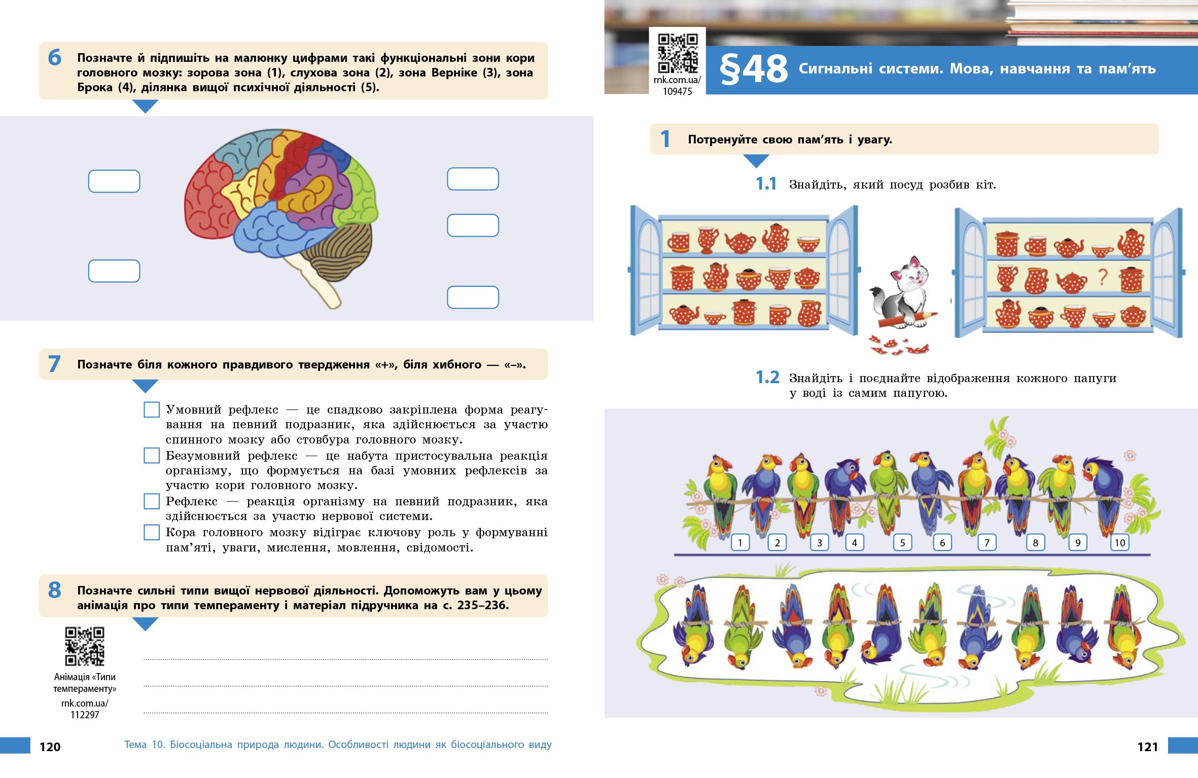 Біологія робочий зошит для 8 класу ЗЗСО - Зображення 10