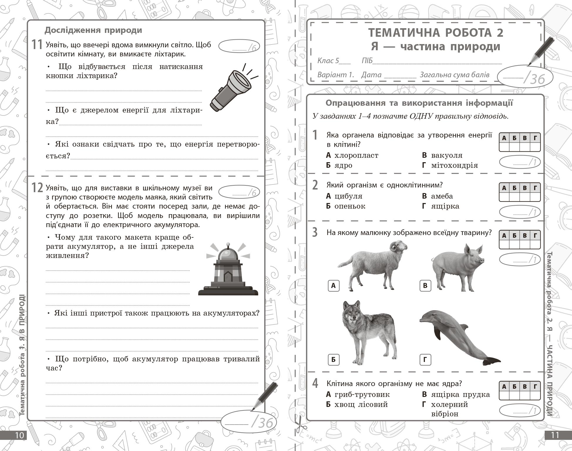 Довкілля. 5 кл : поточне та підсумкове оцінювання за групами результатів - Зображення 3