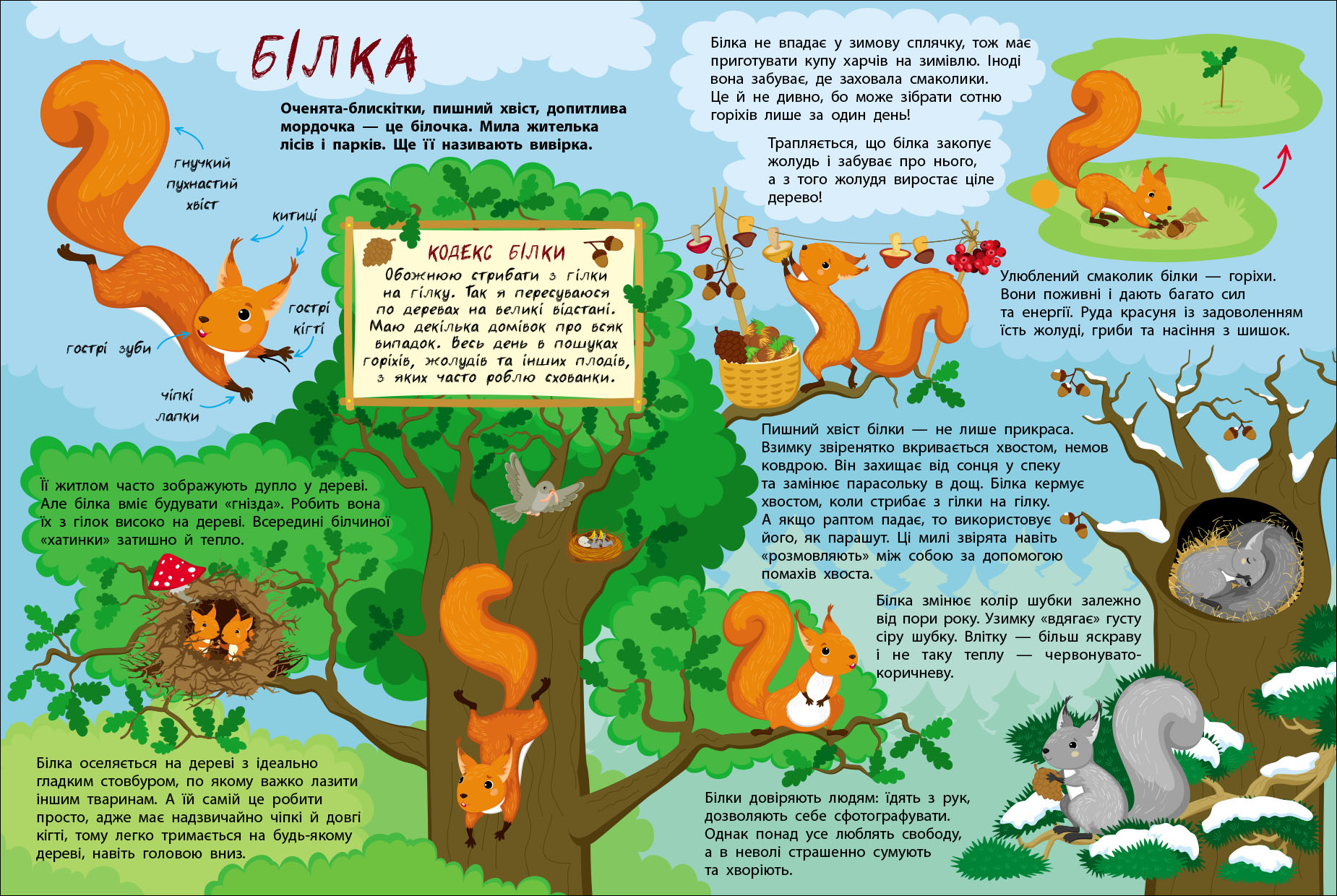 Таємне життя маленьких тварин - Зображення 3