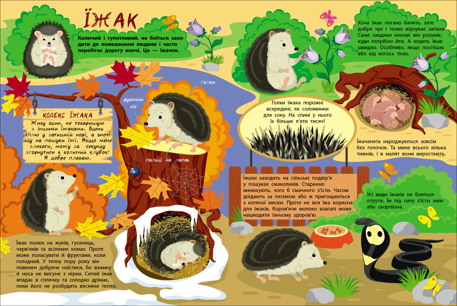 Таємне життя маленьких тварин - Зображення 4