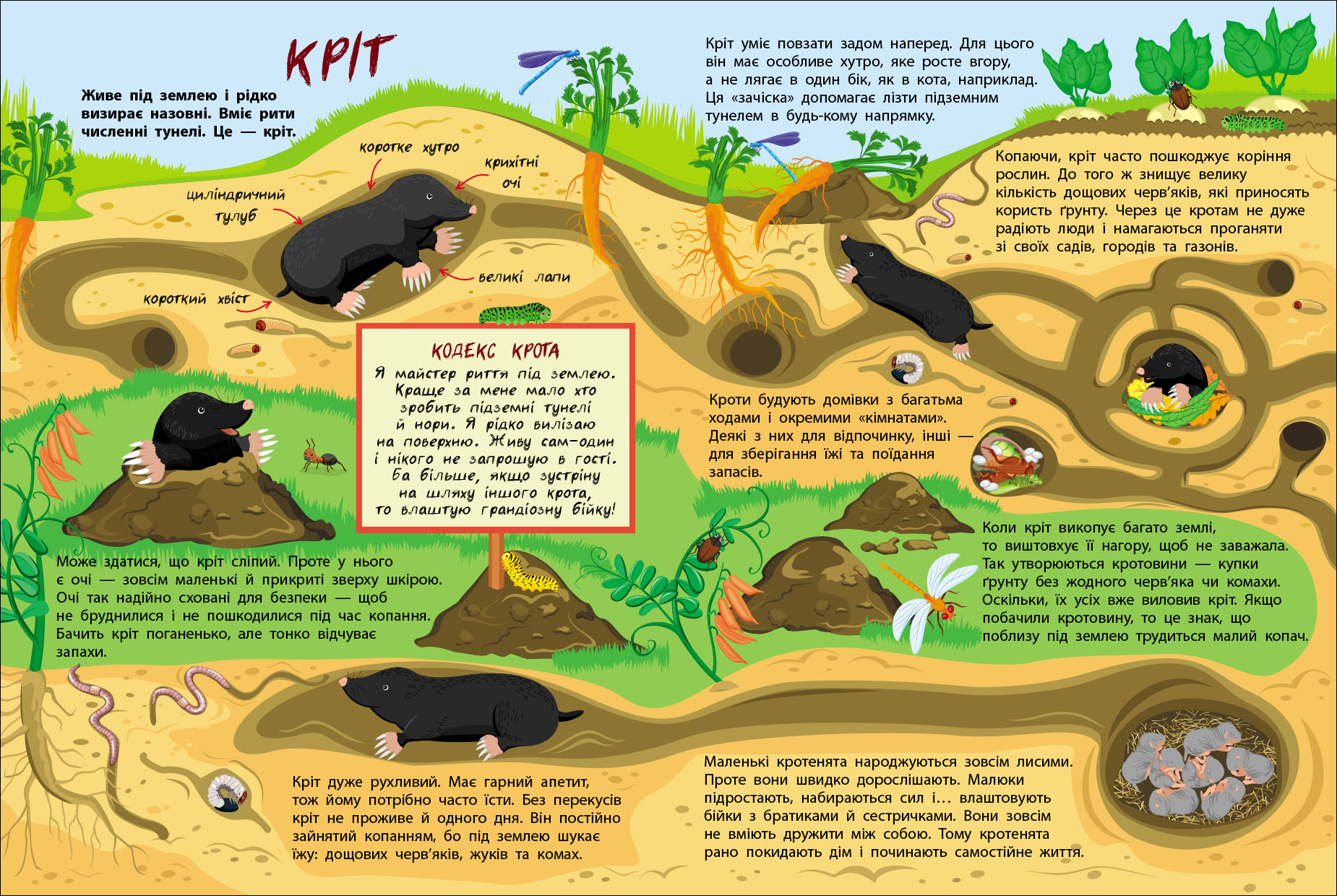 Таємне життя маленьких тварин - Зображення 5