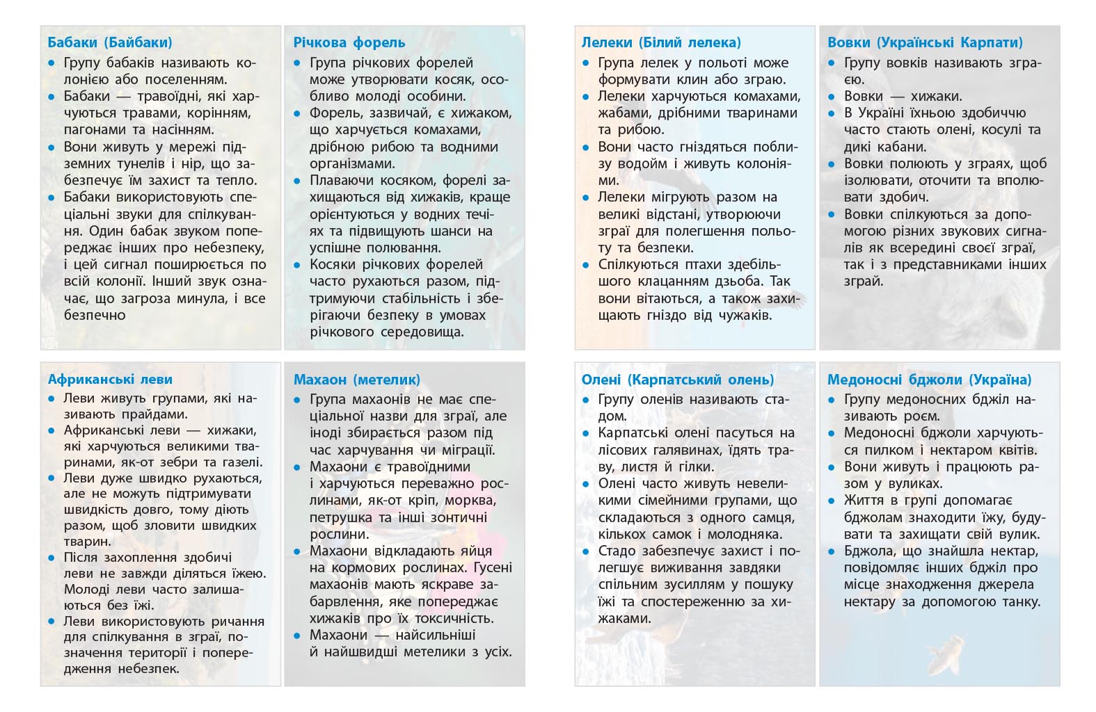 STEM-старт. 4 клас. Зошит для учня. Наука про життя - Зображення 11