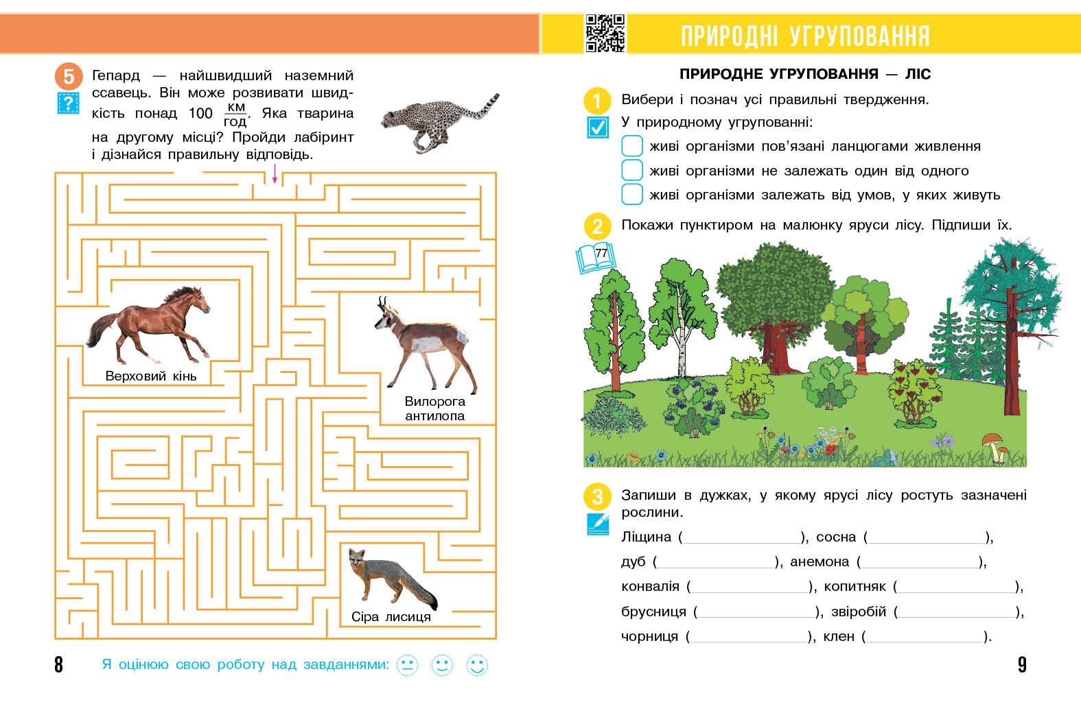 Я досліджую світ. 3 клас. РЗ у 2 ч. Ч. 2 (Бібік-Бондарчук) - Зображення 5