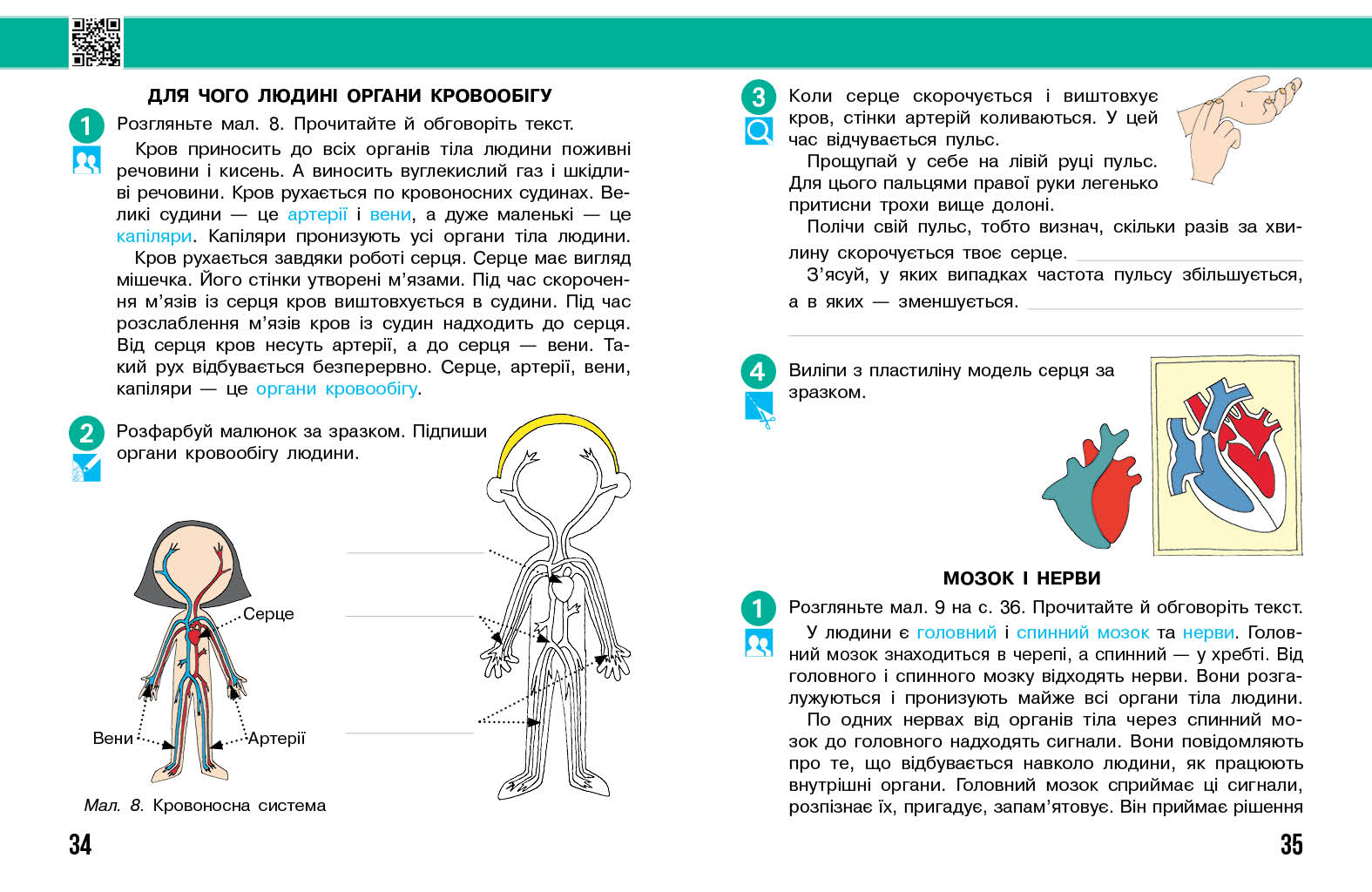 Я досліджую світ. 3 клас. РЗ у 2 ч. Ч. 2 (Бібік-Бондарчук) - Зображення 7